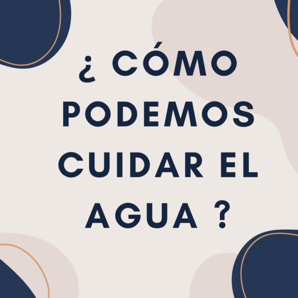 💧 Investigación en 5º de Primaria: